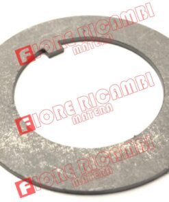 00001451 - RONDELLA DI FERMO