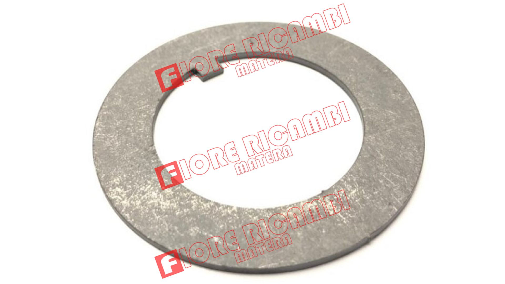00001451 - RONDELLA DI FERMO