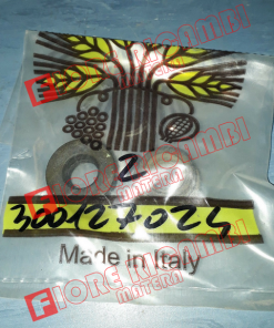 300127024 GUARNIZIONE