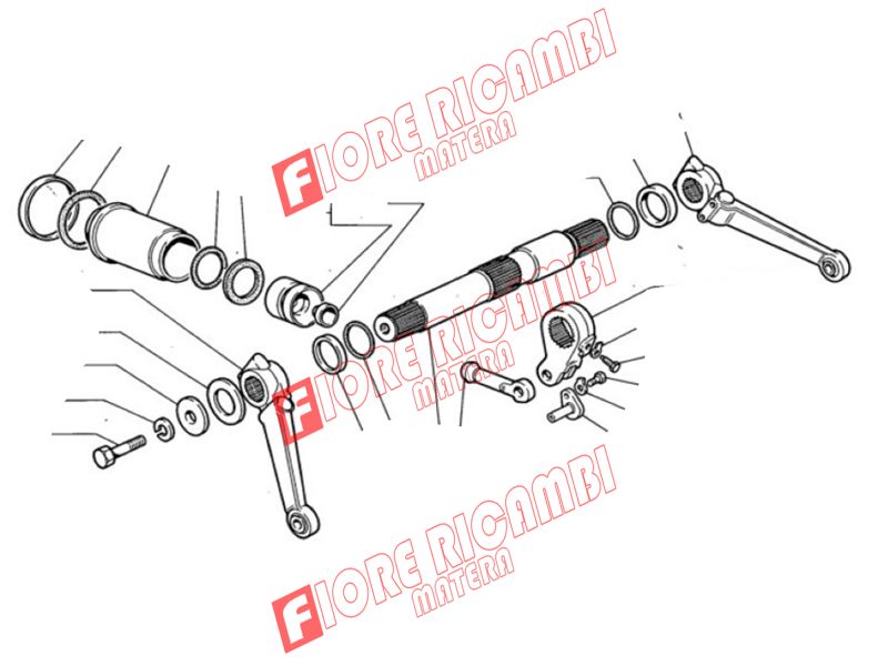 4998815 - ALBERO SOLL. 4998814 - immagine 2