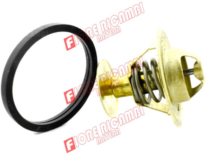 61589109 - TERMOSTATO A. 74°