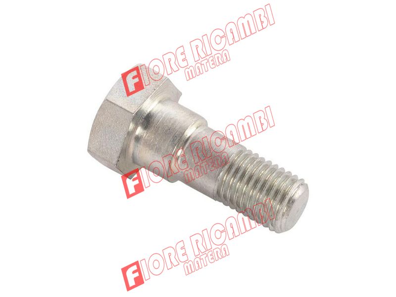 1005512M2 - VITE FRENO FILETTATURA 10X1,25