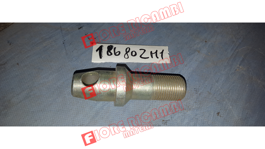 186802M1 - SPINA