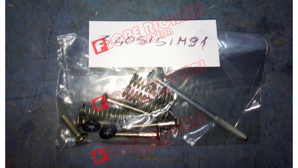 3405151M91 - KIT VITI FANALE