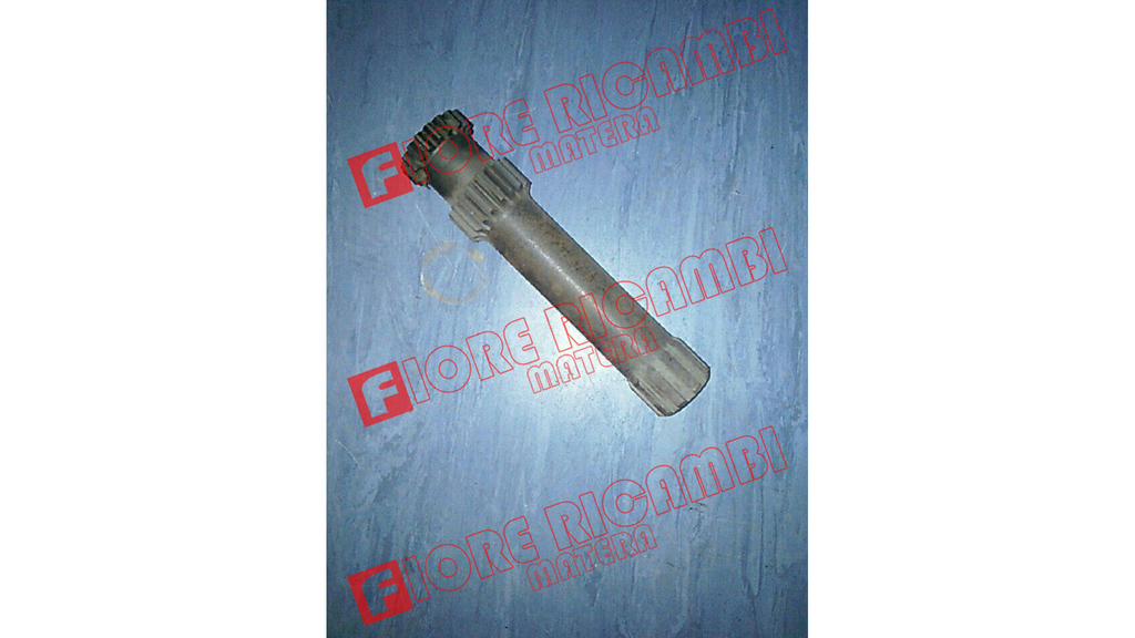 886366M91 - ALBERO