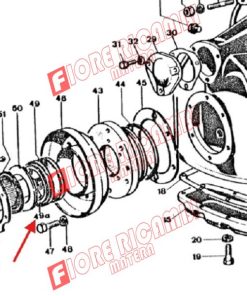 977577M1 - GUARNIZIONE NLA FIG 49a