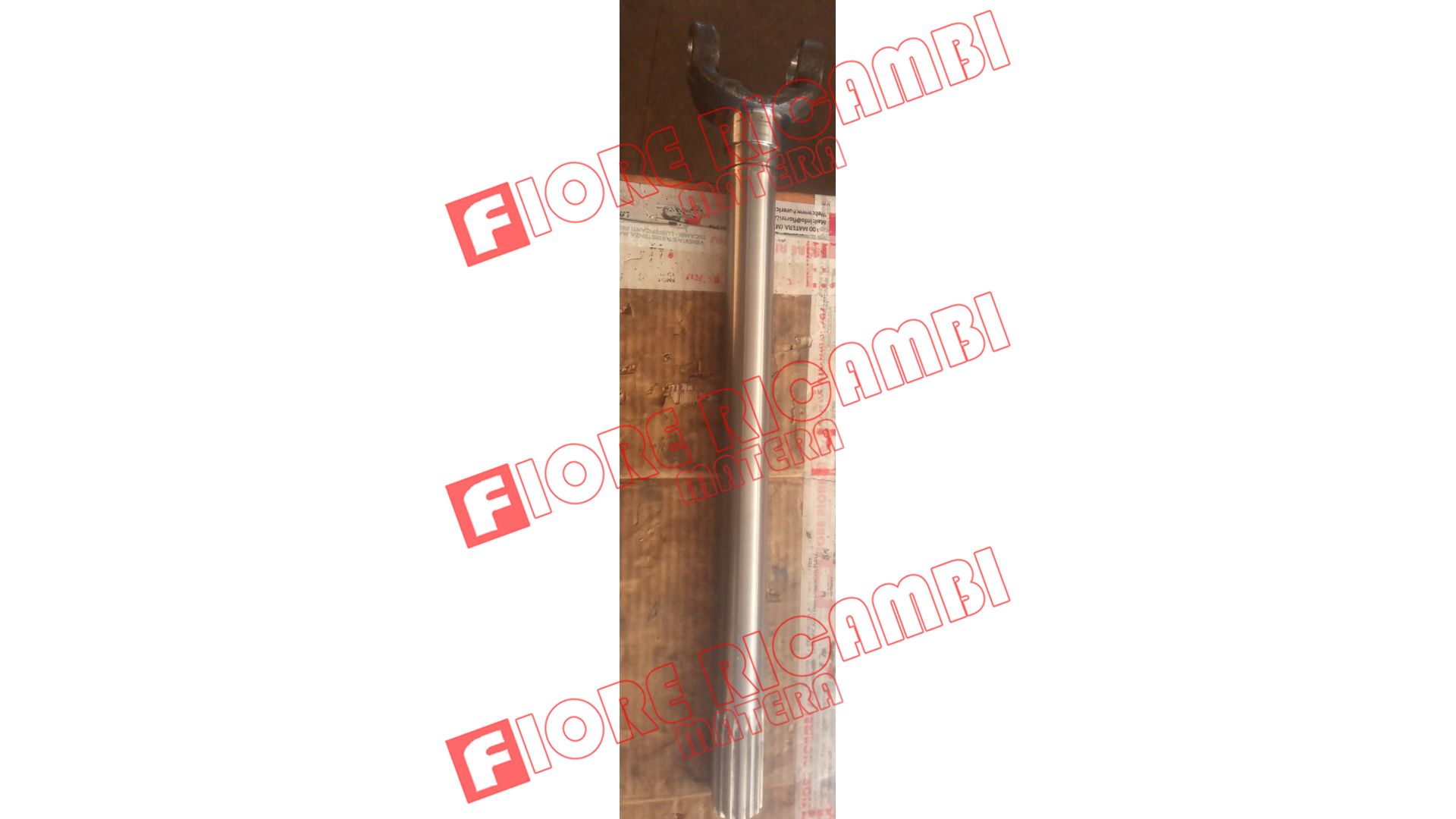 9923688 - SEMIASSE