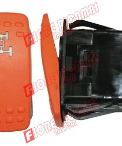 4293541M2 - INTERRUTTORE IND