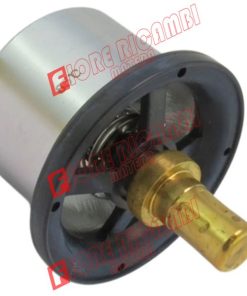 RE554015 TERMOSTATO NAZIONALE