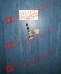 300015404 - PERNO