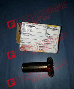 300016218 - PIGNONE CONICO