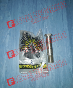 300016891 - PERNO