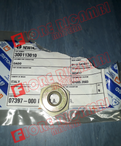 300113010 DADO