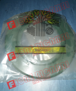 300113164 FLANGIA