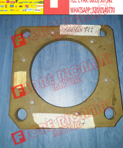 300113717 PIATTO FRENO