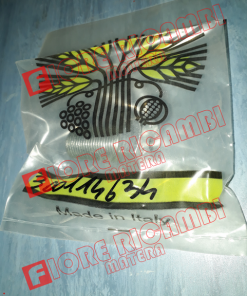 300114634 - VITE