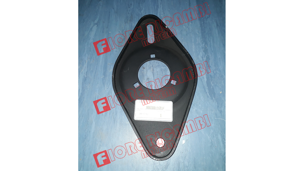 300116816 - SUPPORTO