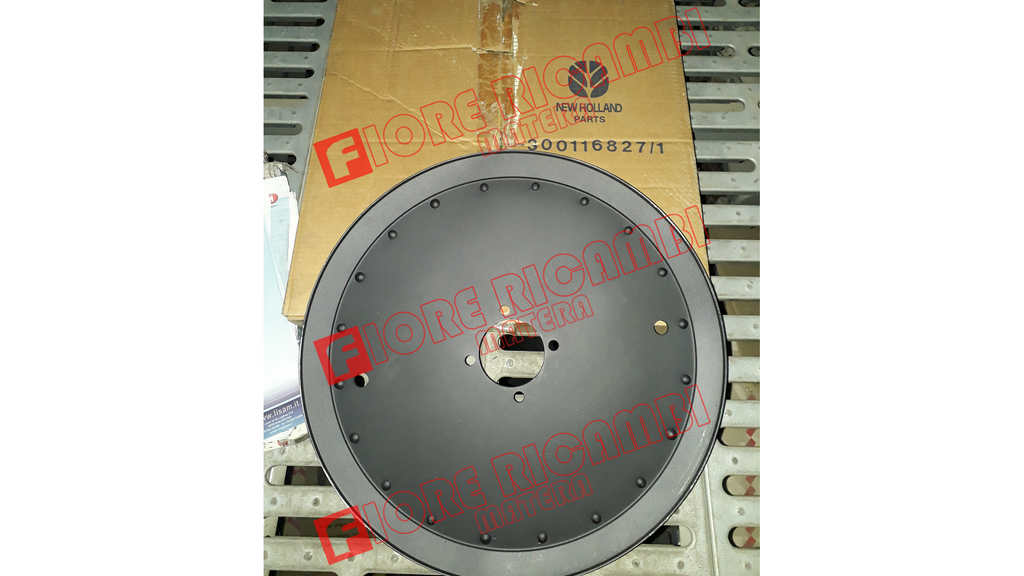 300116827 PULEGGIA