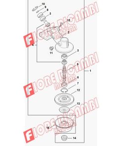 41306407301 - SERIE PIGNONE