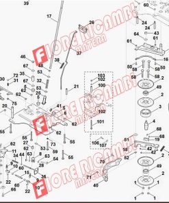 61707042130 - CINGHIA