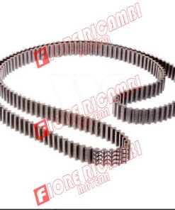 61707640910 - CINGHIA DENTATA