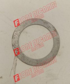 355538706 - ROSETTA PIANA