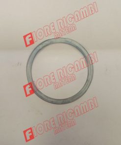 355547303 - ROSETTA PIANA sp 0,3