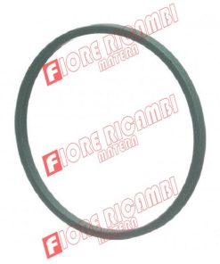 116597A1 - GUARNIZIONE CAMBIO