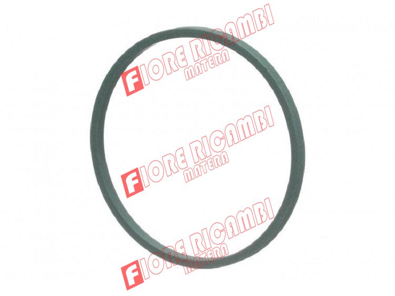 116597A1 - GUARNIZIONE CAMBIO