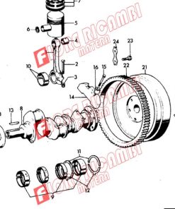 1817069M1 - SPINA FIG 25