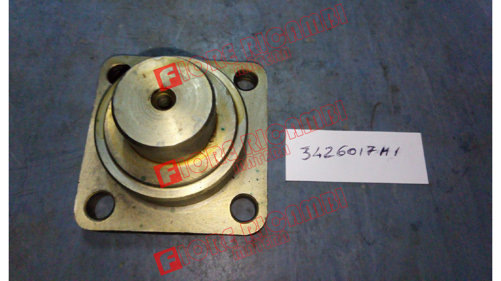3426017M1 - PERNO