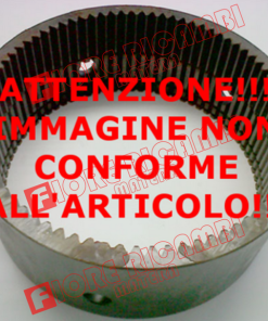 3541462M1 3541462M1 CORONA