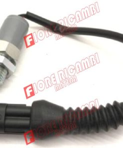 6517248M91 INTERRUTTORE PARK LOCK