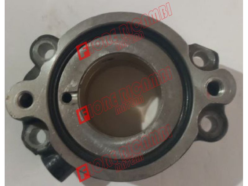 6651775A1 - SUPPORTO