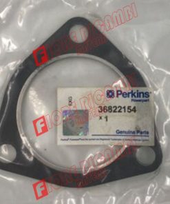 6676988A1 - GUARNIZI