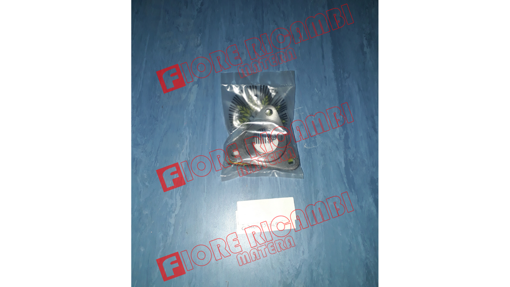 300015545 - SUPPORTO