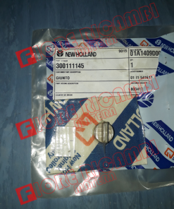 300111145 - GIUNTO