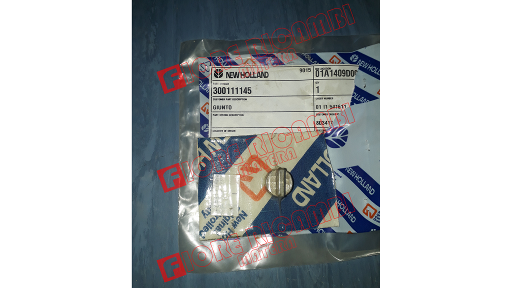 300111145 - GIUNTO