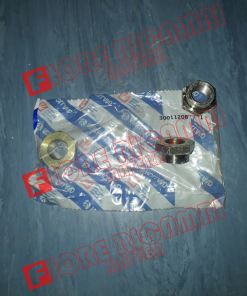 300112087 DADO REGOLAZIONE