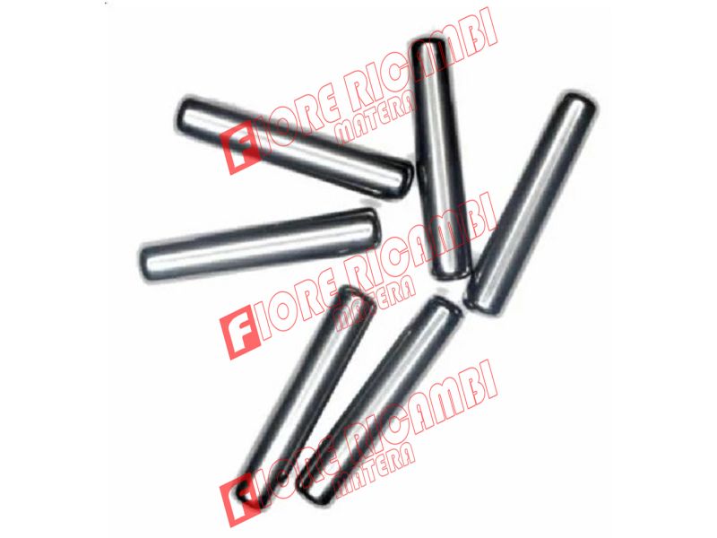 392783X2 - PERNO RULLINO 6X25 USATI