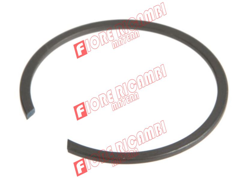 1441924X1 - ANELLO SEEGER INT. SB 40 (41,8)