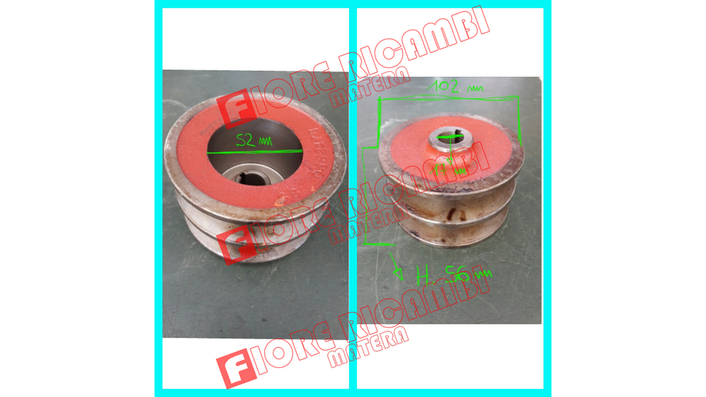552478 PULEGGIA