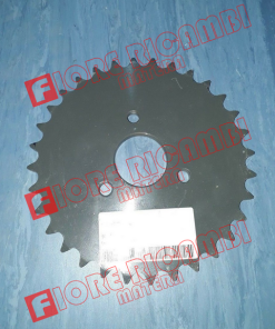 300015571 INGRANAGGIO
