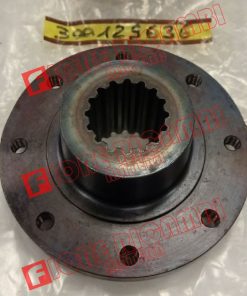 300129636 - FLANGIA