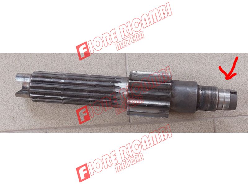 320556150 - ALBERO SECONDARIO