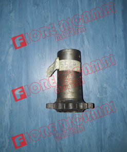 300015569 - PIGNONE Z.14