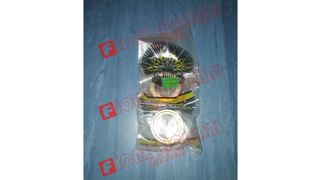 300017874 BRONZINA