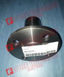 300113134 - MOZZO