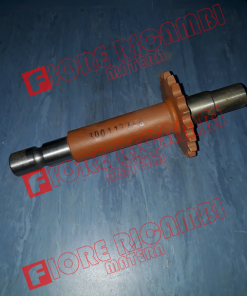 300117746 ALBERO NAZIONALE
