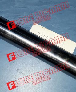 300119597 - PERNO